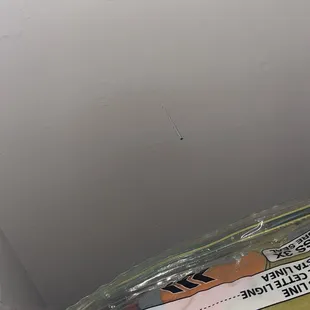 Rogue nail, one of several dozen we have pulled out around the house- INCLUDING ON THE ROOF!