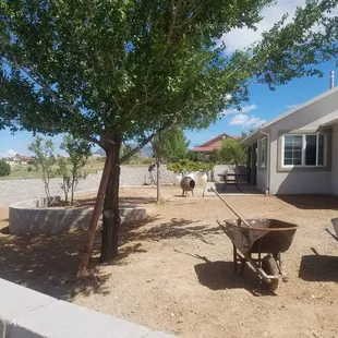 East Mountain Xeriscape project!