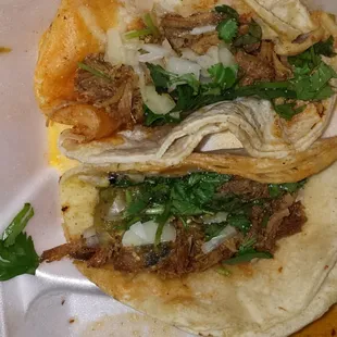 Carnita Tacos