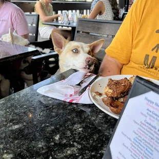 Mmm chicken and waffles
