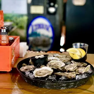 Oysters !!!