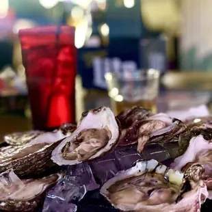 Dozen  raw oysters