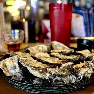 Oysters !!