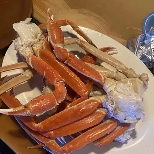 Snow Crab