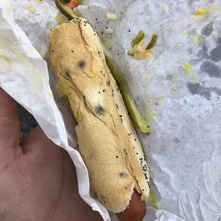 Hotdog w/ everything + MOLD