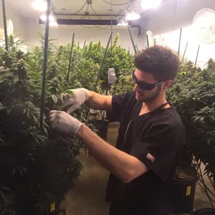 RGO's Master Grower, Jeff
