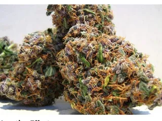 GrassRoots - Albuquerque