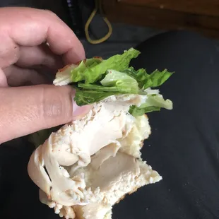 Just lettuce and turkey chilling in between bread