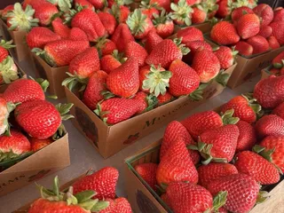 The Original Manassero Farms