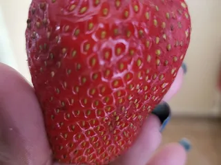 The Original Manassero Farms