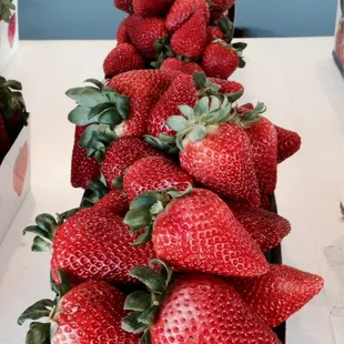 Fresh picked strawberries!!