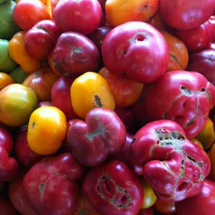 Yummy homegrown tomatoes!
