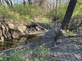 Roe Park