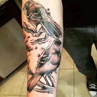 Mocking birds by James.