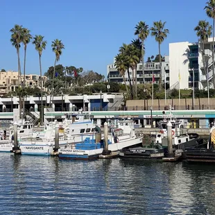 View from the entrance