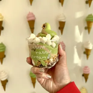 Kyoto Matcha &amp; Iron Buddha oolong tea soft serve + toppings