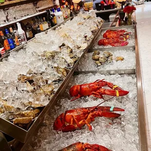 Raw Bar - 5 varieties of oysters !!!