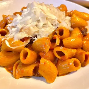 Amatriciana sauce with crunchy guanciale over rigatoni pasta topped with Parmesan