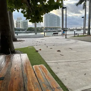 Picnic table we ate at next to the food truck.