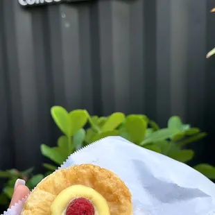 Lemon raspberry tart