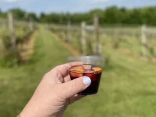 Ripepi Winery & Vineyard