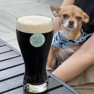 Guinness (and dog-friendly outdoor seating!)