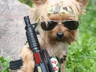 Garner's Sew & Vac Tehachapi