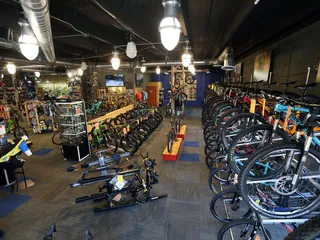 Pro Cycling