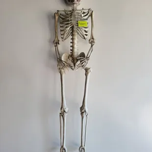 Its name is Robert. Or Sam, the name tag changes sometimes.