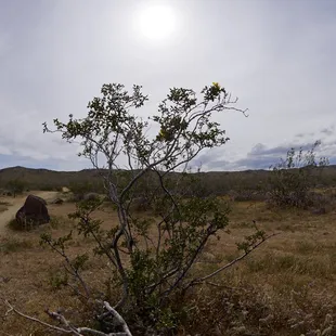 You don't have to go far from the parking lot to see how beautiful nature can be.
