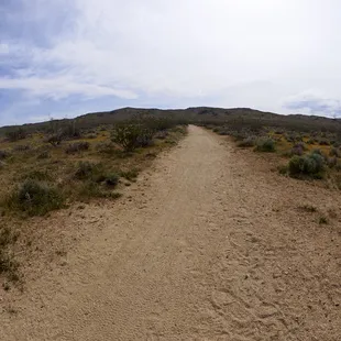 You don't have to go far from the parking lot to see how beautiful nature can be.