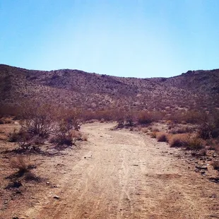 Up towards the mountain