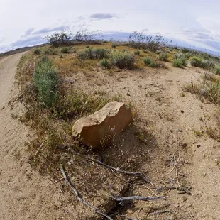 There are multiple trail heads.