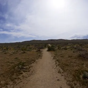 You don't have to go far from the parking lot to see how beautiful nature can be.