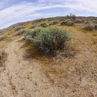 You don't have to go far from the parking lot to see how beautiful nature can be.