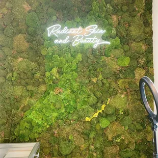 one of the many accent walls here at Radiant Skin and Beauty. It is covered in preserved moss with an LED light with our name on it.
