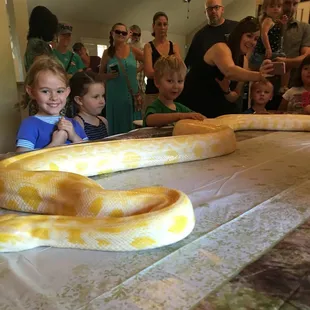 Worth the extra $$ for the Burmese Python