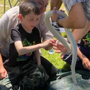 Radical Reptiles and Friends at my sons birthday.