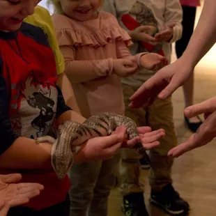Teaching the kids how to properly hold Aurora the blue-tongued skink.