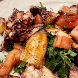 Grilled Octopus