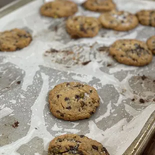 chocolate chip cookies on a cookie sheet