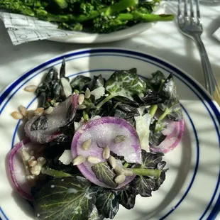 Salad  broccoli  rabe