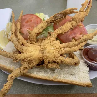 food, mussels, oysters and mussels, shellfish, oysters