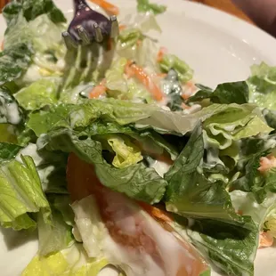 Bag salad