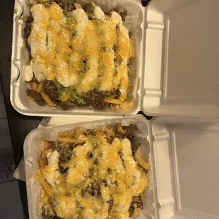 Carne asada fries