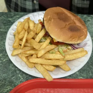 Cheese Burger with Fries