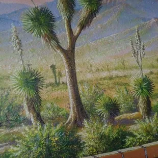 a desert scene