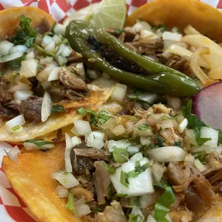 Carnitas Taco