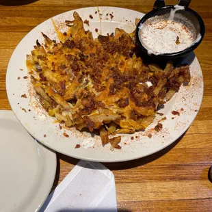 Cheese fries were awesome!