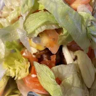 Bunless cheeseburger with extra patty, grilled onions, lettuce, tomato, pickles, ketchup and mayo.